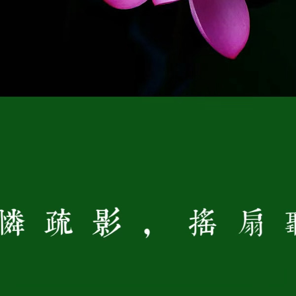 日行一善 💚 阳光信用 善行缘于善心，有着善的心灵就如同一股清泉，永不枯竭，清