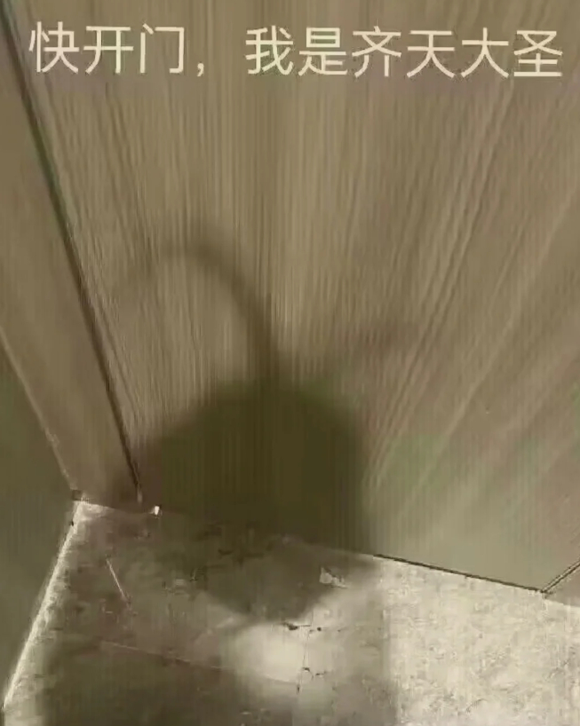 半夜被蟑螂脚步声吵醒 蟑螂的脚步声？蟑螂爬有那么大声音吗，确定不是半夜家里进贼了