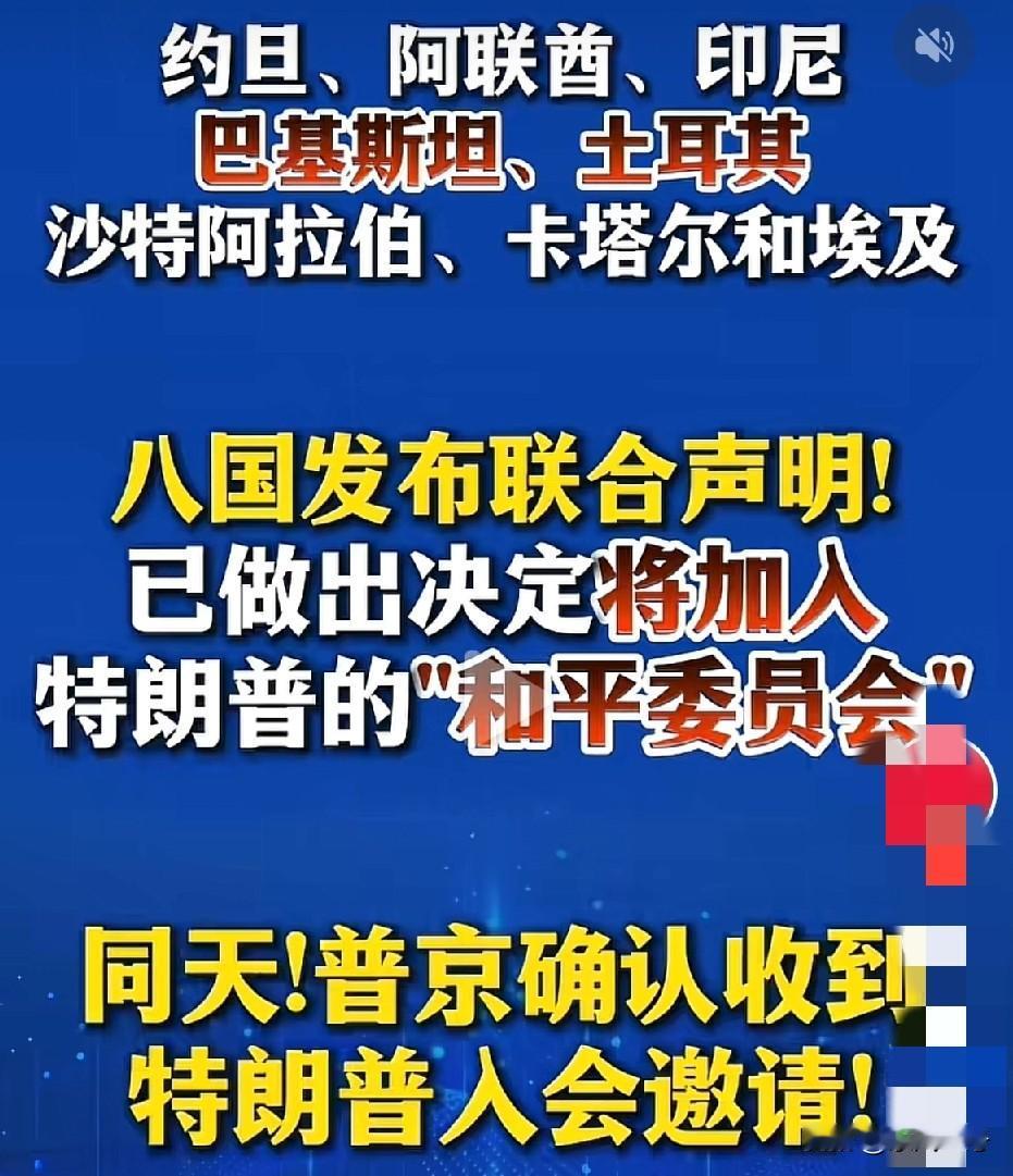 真快啊！已经八国决定加入特朗普的“和平委员会”。
这八个国家分别是巴基斯坦，土耳