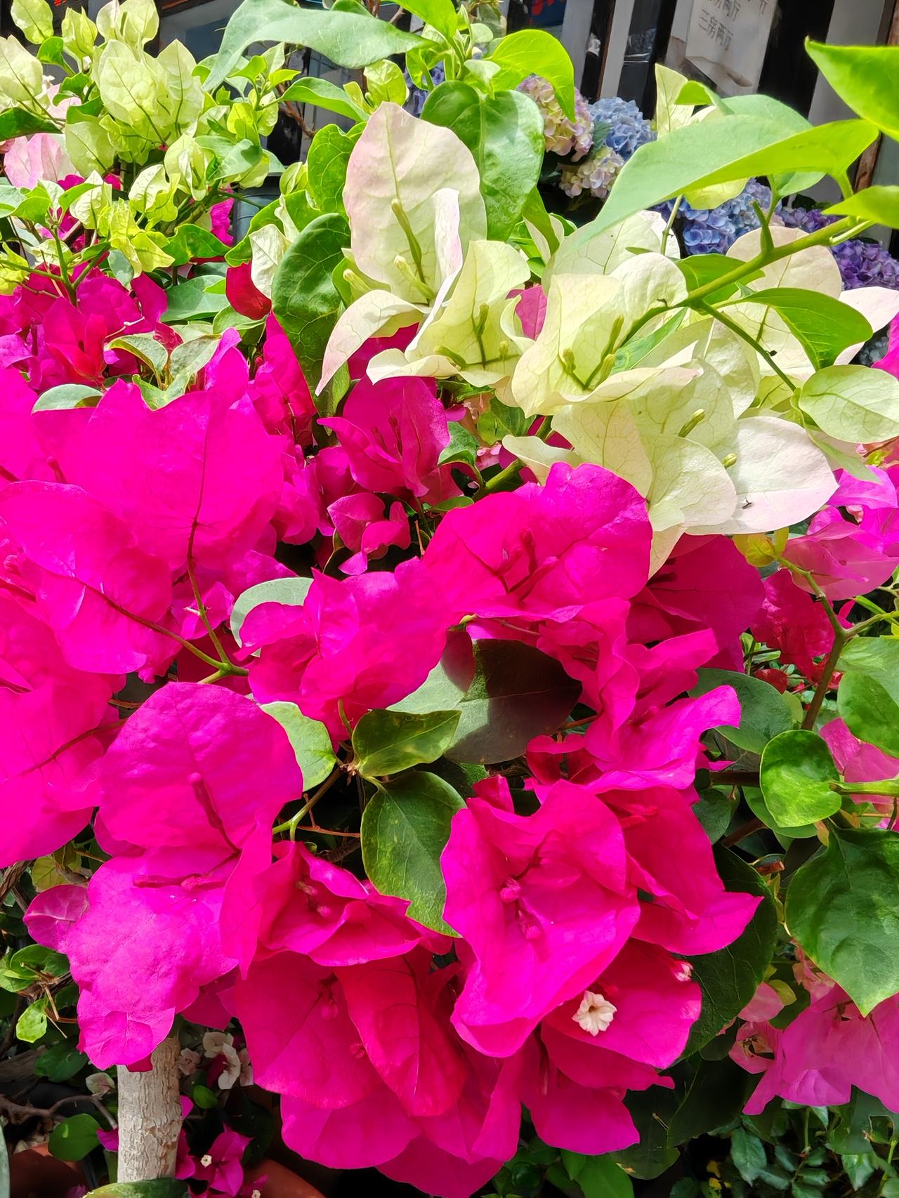 高速开车是快好还是慢好在高速上开车还是正常随速的好，该快的时候要快，该慢的时候要