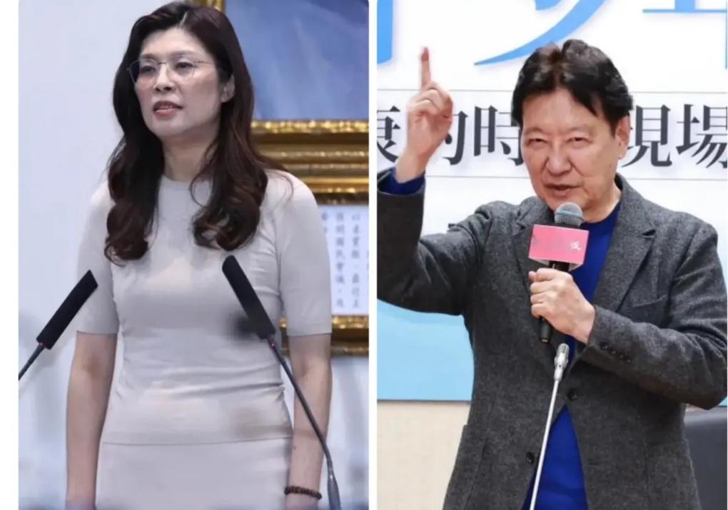 郑丽文内部讲话外泄，涉及某些敏感问题，引发赵少康等人强烈不满，爆发激烈争吵，背后