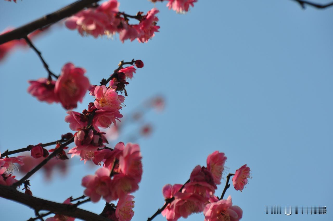 口加一笔可以变成什么字口加一笔可以变成"日"、"曰"、"中″、"尸″、"巳"字