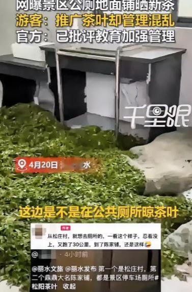 这下事情闹大了！浙江丽水，一女子去景区游玩，期间闹肚子想上厕所，结果推开公厕门傻