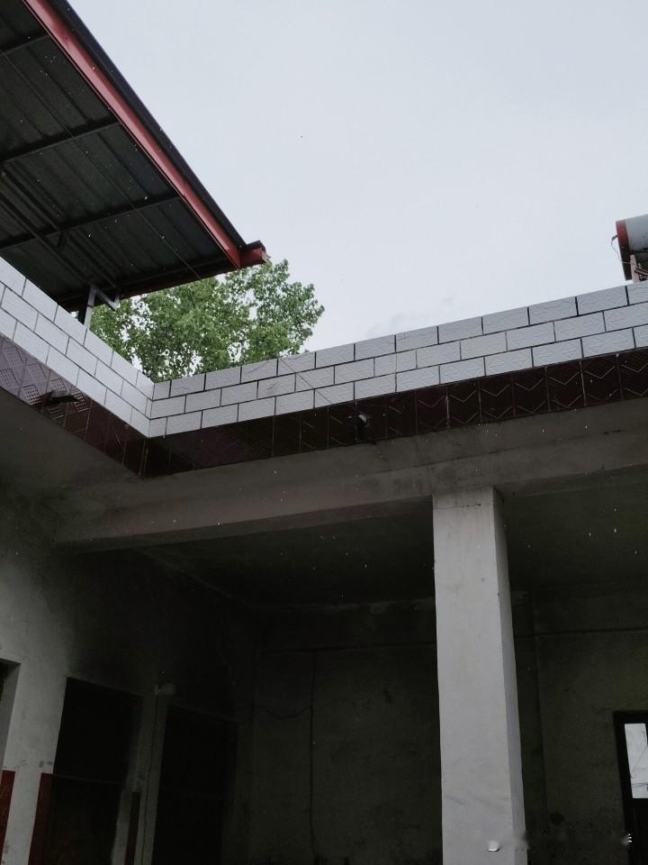 今日分享随手拍照片