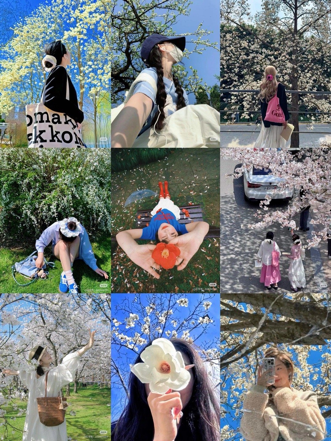 存一些适合i人的不露脸拍花姿势