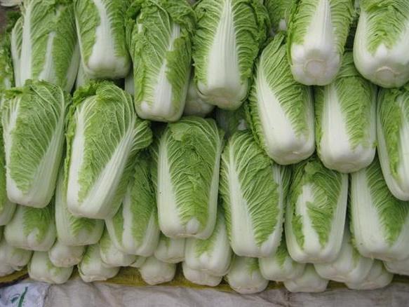 我发现最近大白菜在头条里出现的频次好多！

央视曝光毒白菜事件让老百姓买白菜战战