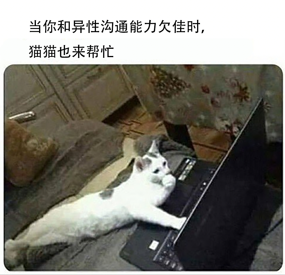 #meme# ​​​