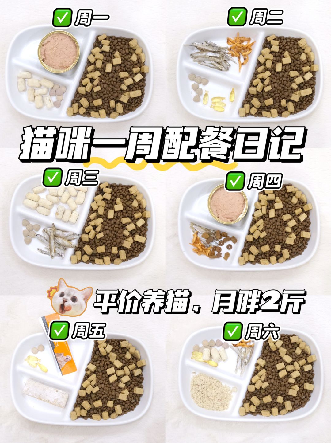 猫咪一周配餐日记，平价养猫，月胖2斤！