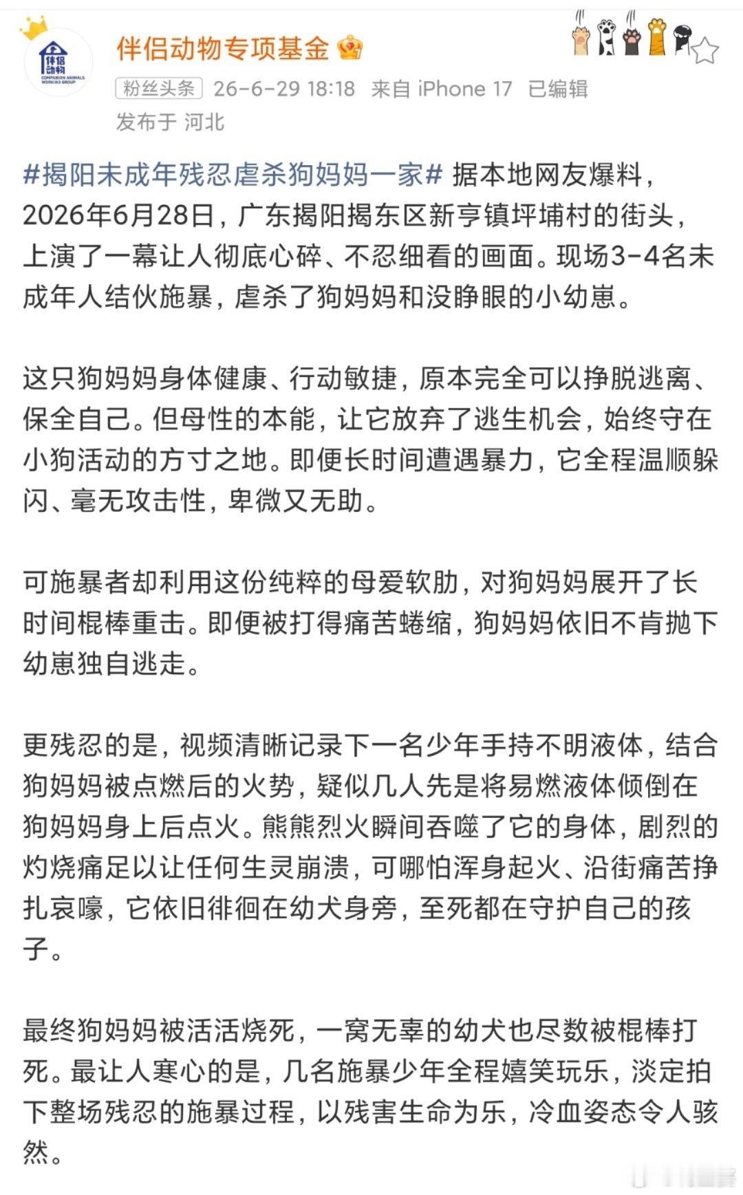 -做出这种事情，居然还能“全程嬉笑玩乐，淡定拍下整场施暴过程”…真的让人心寒！！