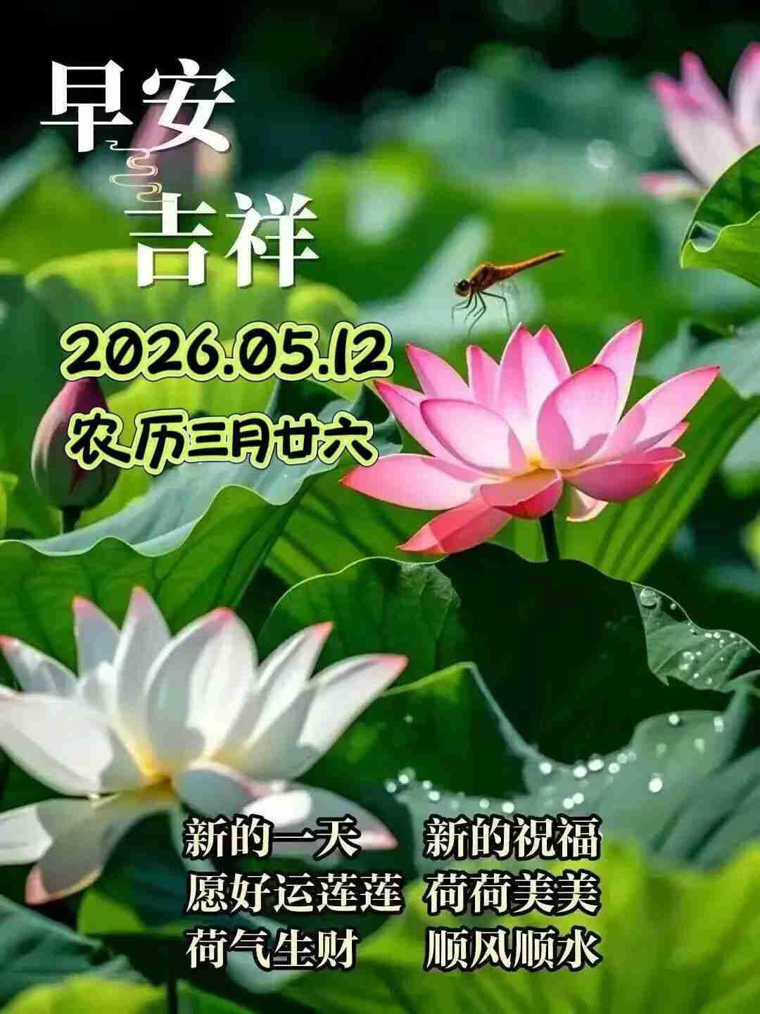 我的今日状态：😁轻松愉快
我这里的天气：☀️晴天