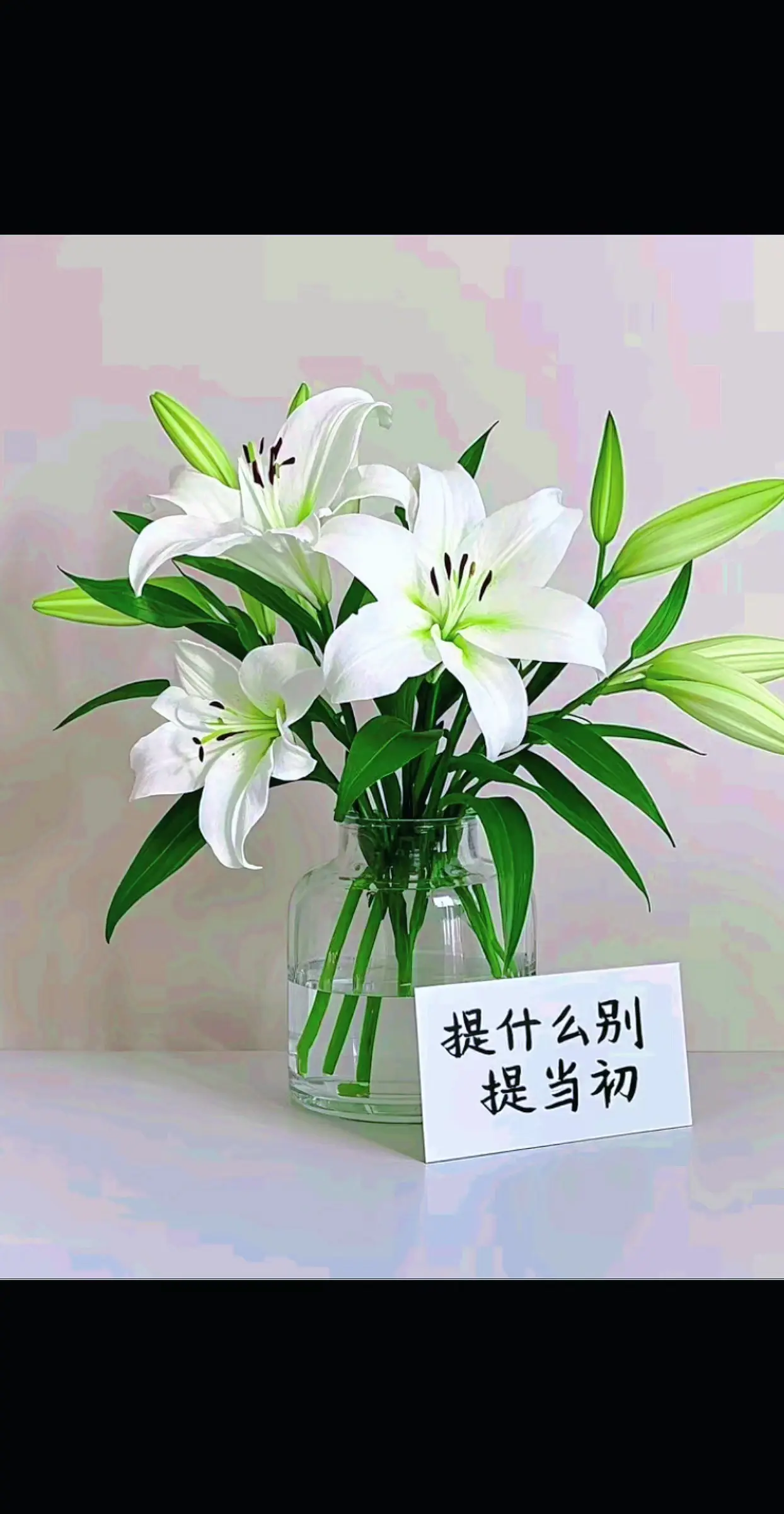 “提什么别提当初，说什么不要说未来， 人心万变，哪有人始终如一……”