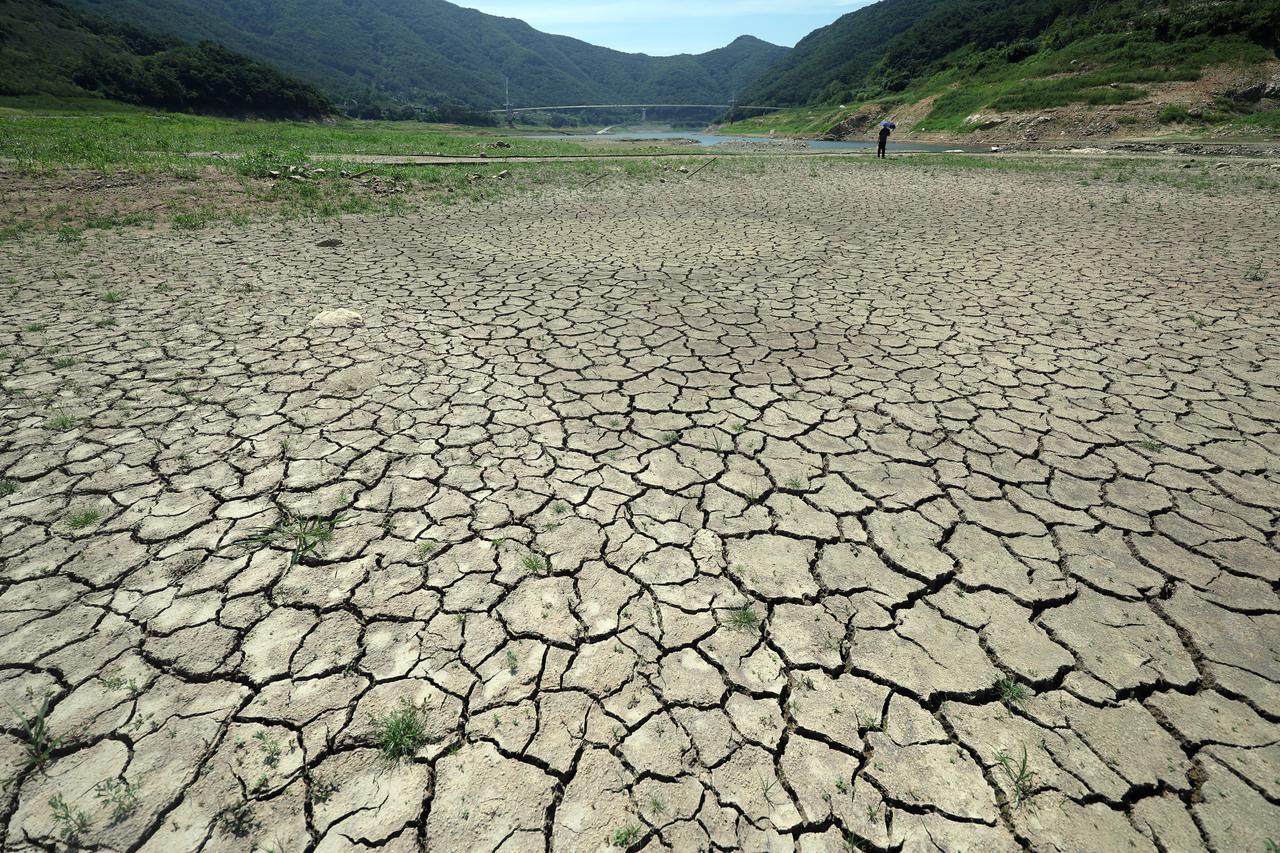 蹲在干裂的河床上，韩国庆尚北道永川市的农户们直摇头：往年波光粼粼的普贤山水库，如