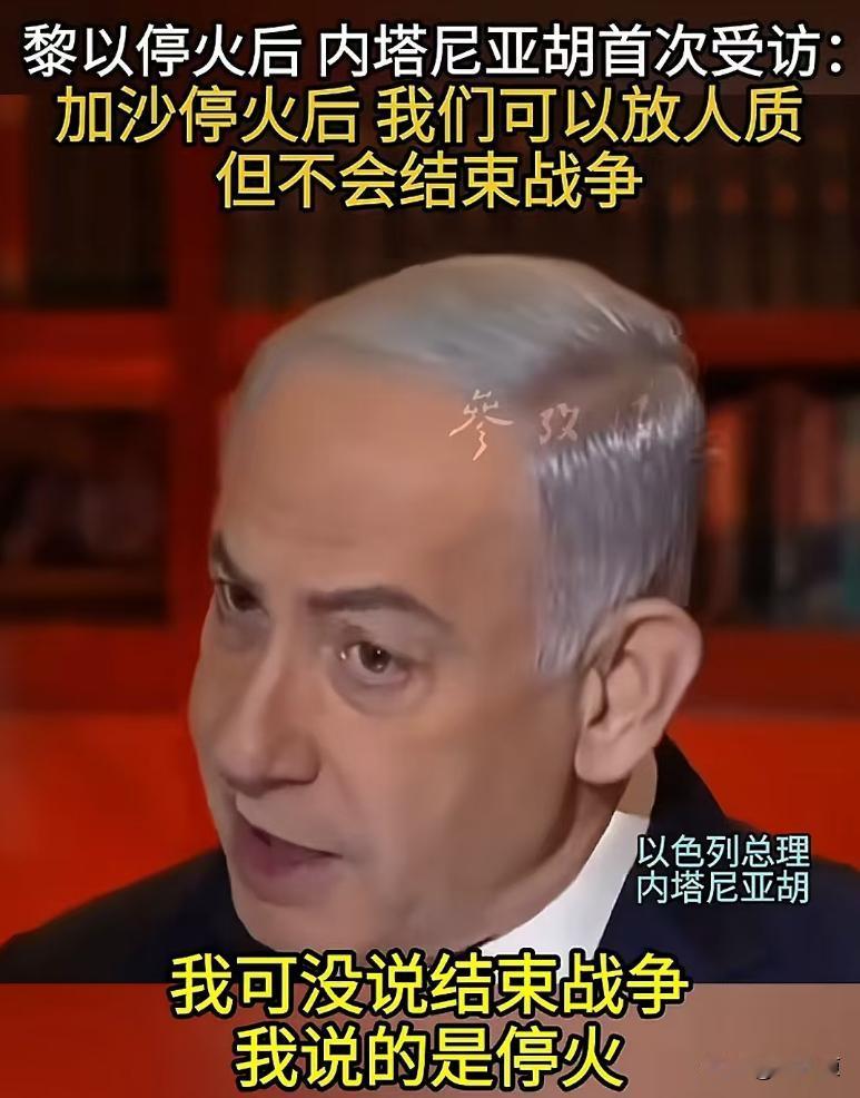 内塔尼亚胡停火后首次受访：我可没说结束战争，我说的是停火！

这个已经被国际刑事