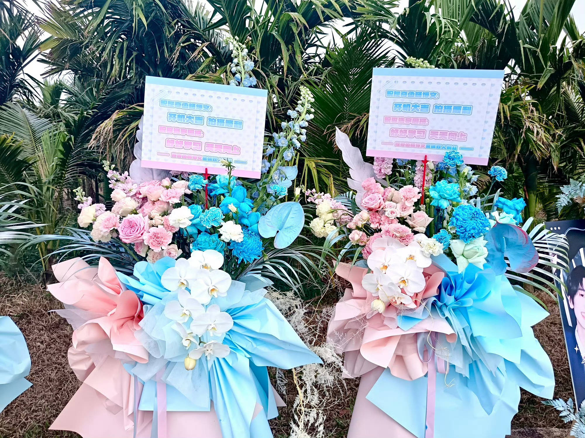 TF四代我们的少年时代2开机应援CP粉奇文〡桂瑞〡桂橹〡恒铭 