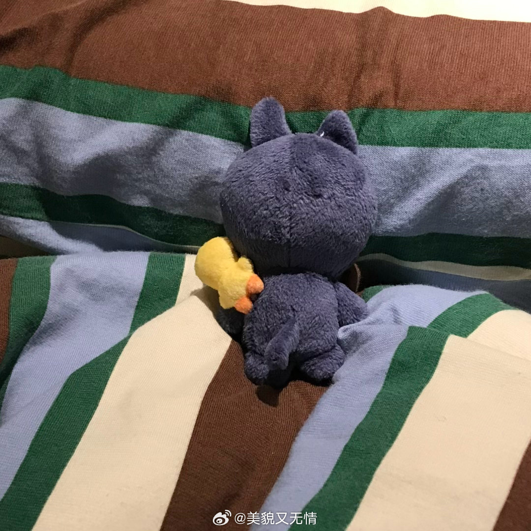 休息日很舒适呀(˶╹ꇴ╹˶) 