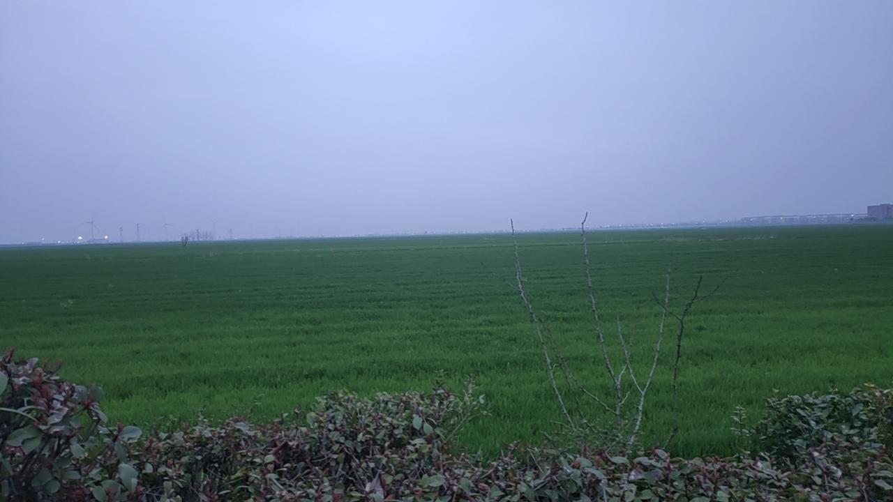 站在田埂上，风里吹的都是麦苗清香，放眼望去，心旷神依，
万顷麦浪翻涌，天地在此铺