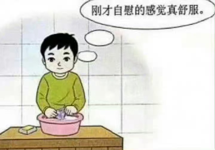 我看完沈沈的物料： 