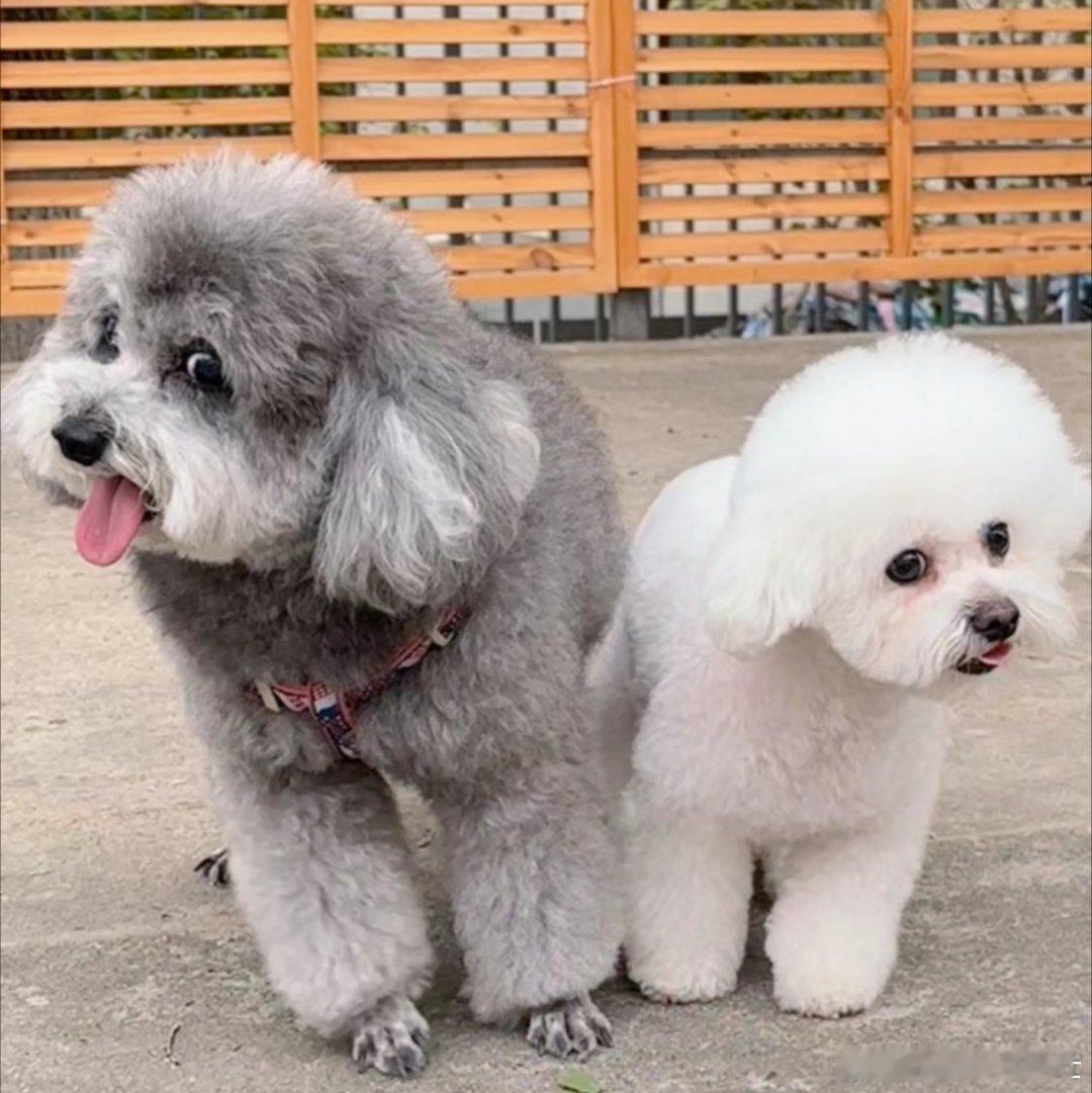 好久不见的koki宝 ​​​