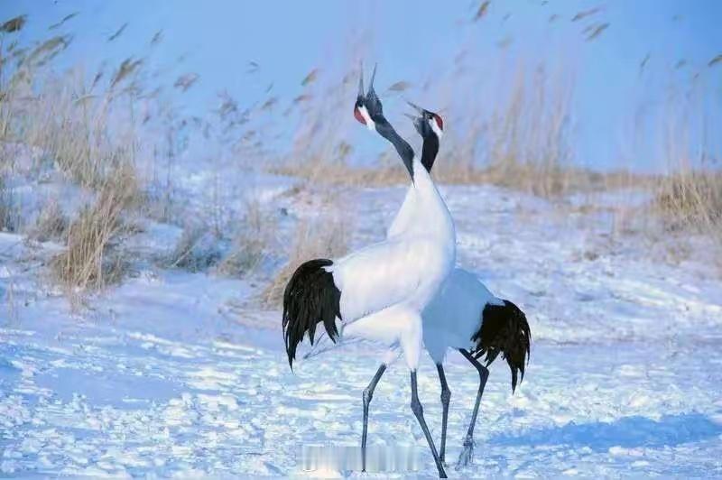 许多人初来到市场，都是抱着满腔的热情来的，觉得自己会在这个市场中淘到金子，但现实