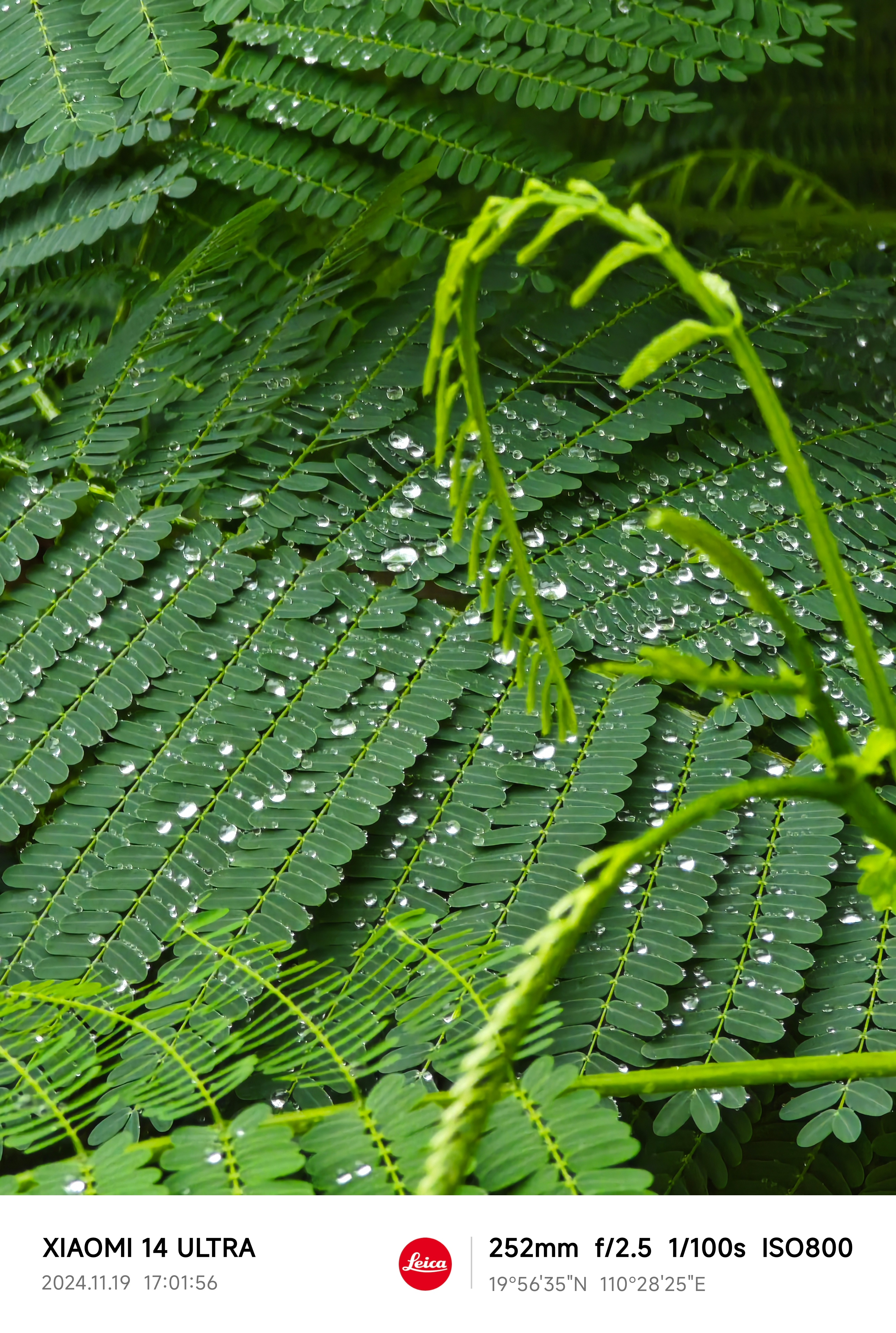 讨厌固定在8点的生物钟[苦涩] 