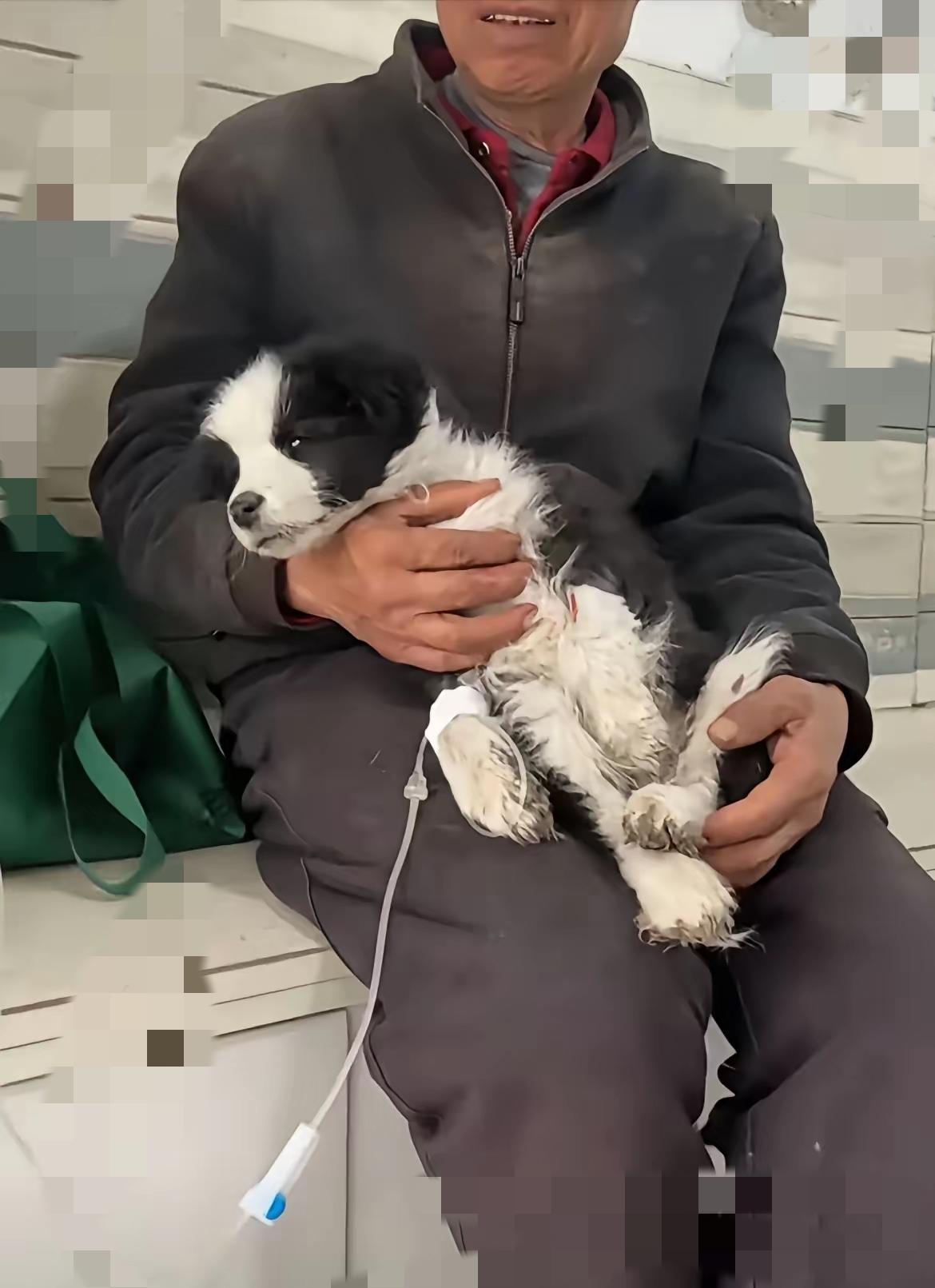 日子再苦，也不能苦了身边的伴
 
总有人说成年人的世界满是算计，可这位收废品的爷