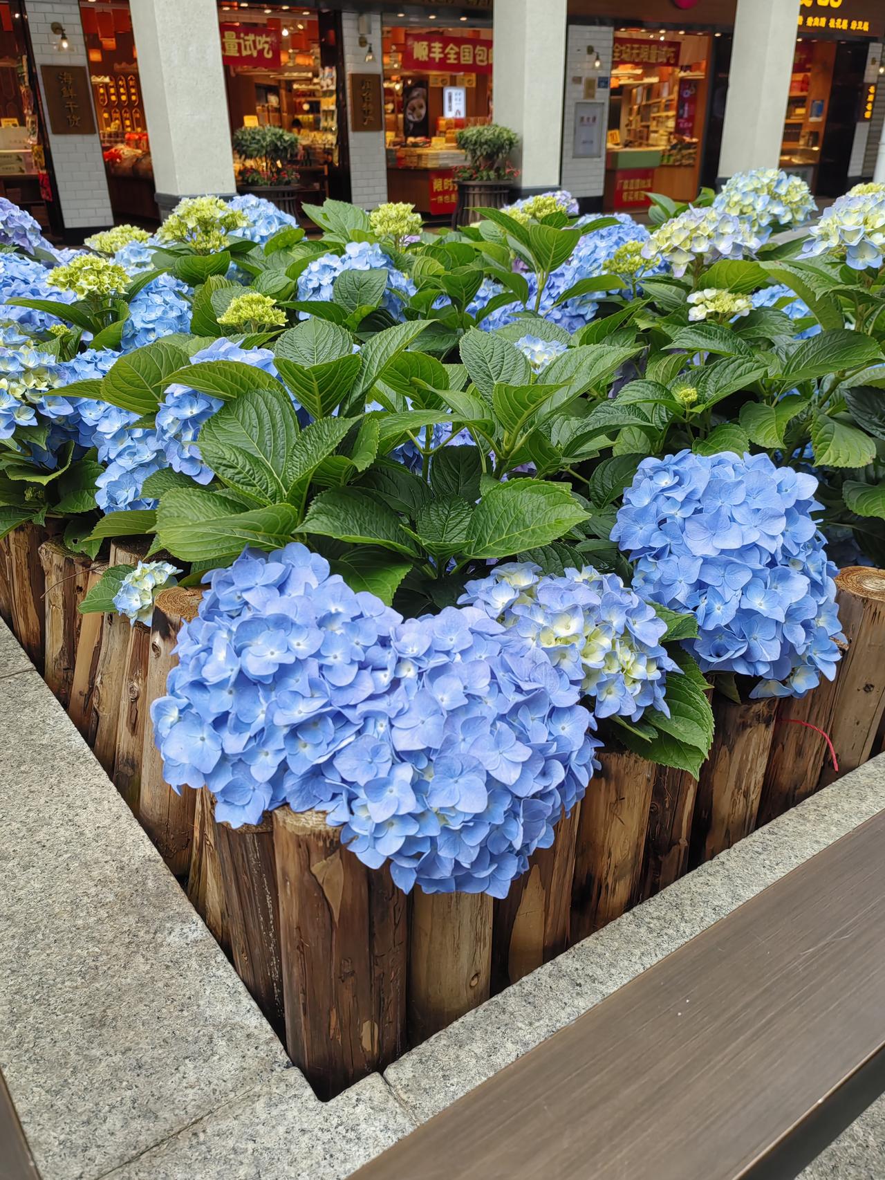 注意啦，下周只要上四天，便有五天假期，打工人的快乐终于要提前上线，连空气都开始变