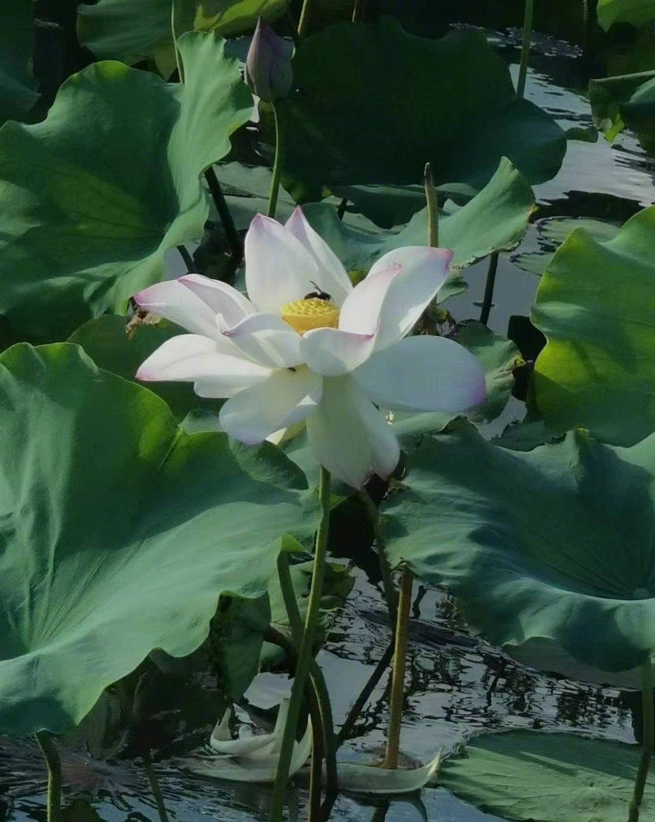 根据韩联社报道，韩国仁川地方法院法官25日宣布，依业务过失致死罪嫌被起诉的41岁