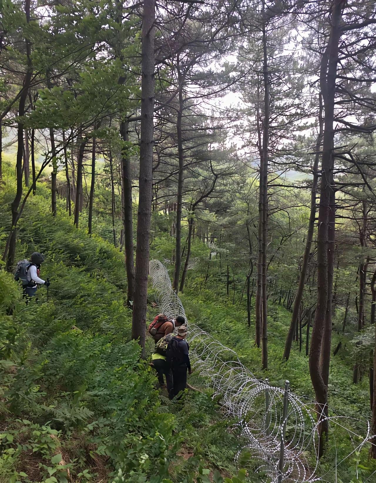 如今有些“驴友”胆子着实不小，为了逃票竟选择走野路进入泰山景区。他们自以为能钻规