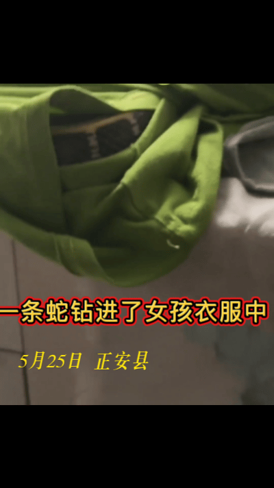蛇🐍多泛滥了吧，前几天安徽旌德县一住户家中鞋柜里面惊现五步蛇，昨天晚上，贵州正