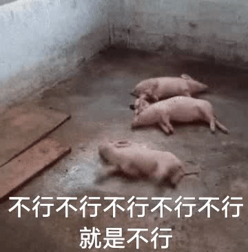 我哥哥的歌就是比你们火你们气不气。抖音一搜你们完全查无此团 ​​​