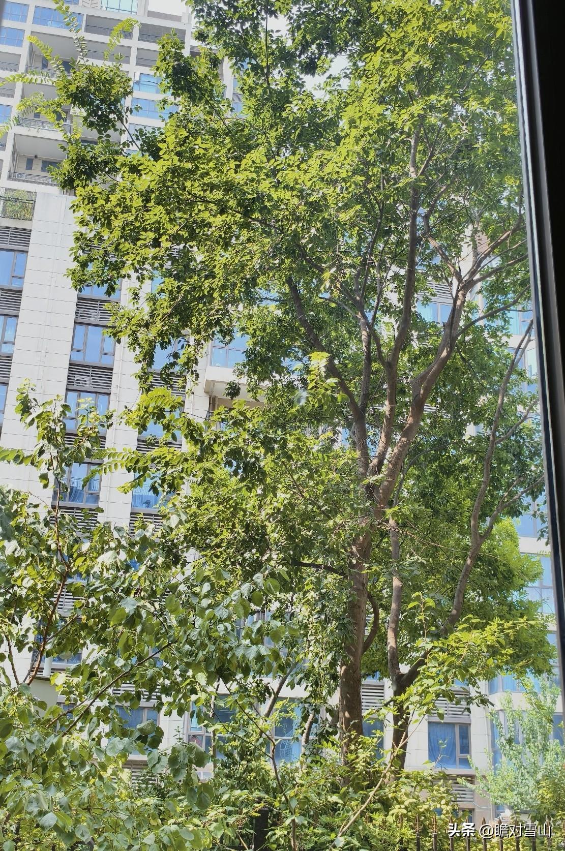 今天刷了一个视频，觉得很值得借鉴。

视频中一个年轻小伙，他说：由于现在钱不好挣