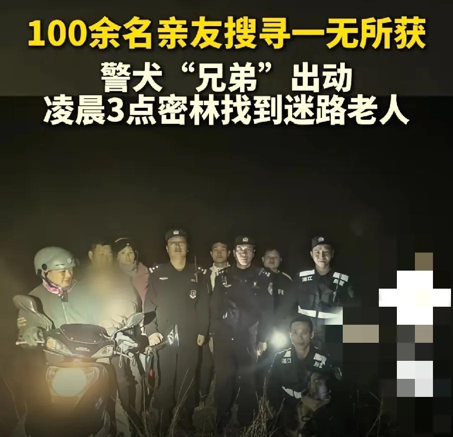 警犬助力，走失老人终获救：人与动物协作的奇迹

12月23日20时，湛江麻章区太