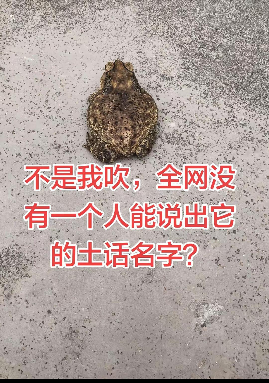 用你们哪里的方言，说出它的名字。