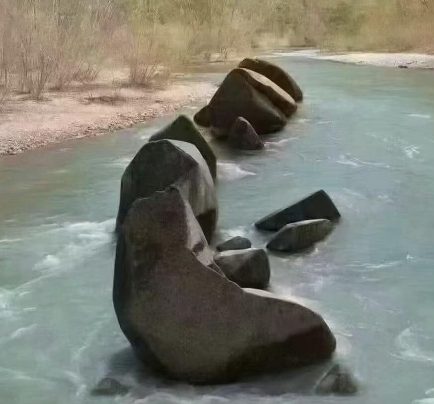 这张图片你第一眼看到的是什么？