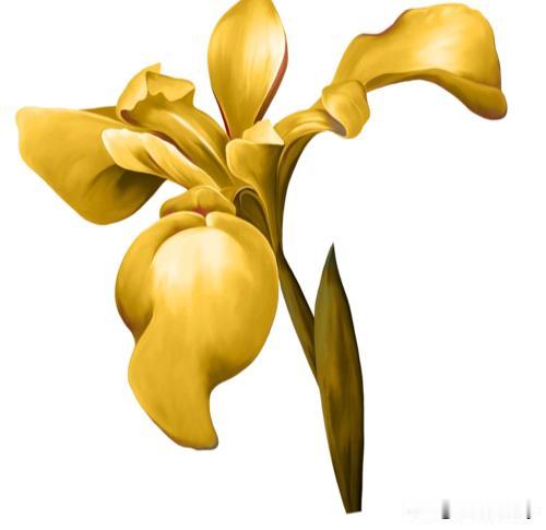 必知的民间风俗禁忌:
信佛不养猫，养猫不信佛。
晚上不剪头发，伤元气。
不和属相