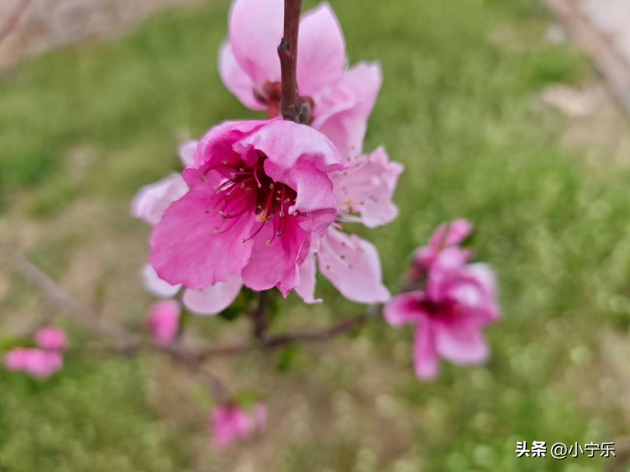 邻居家今年79岁的老人正在医院排队看病呢，突然脸色苍白倒地，家人随即喊来医生，医