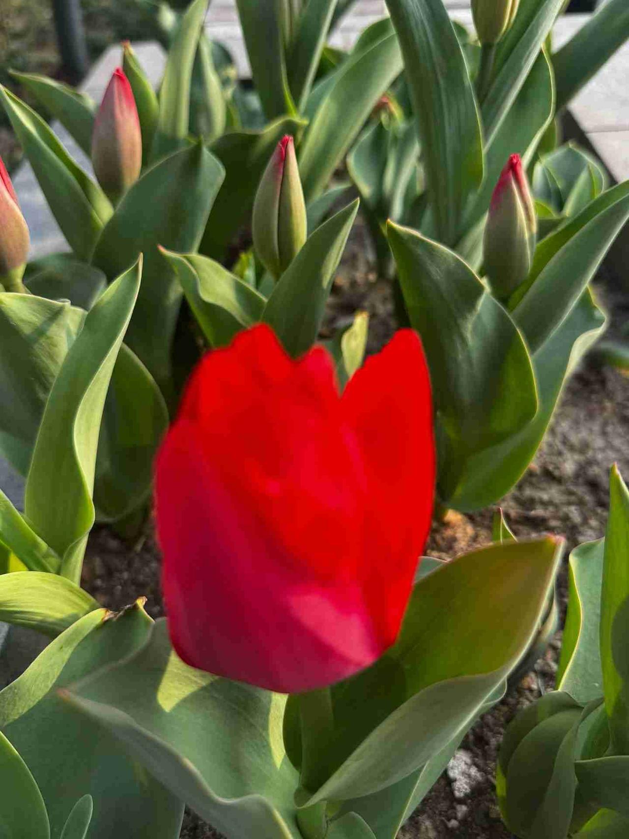 我的今日状态：💰期待暴富
我这里的天气：☀️晴天