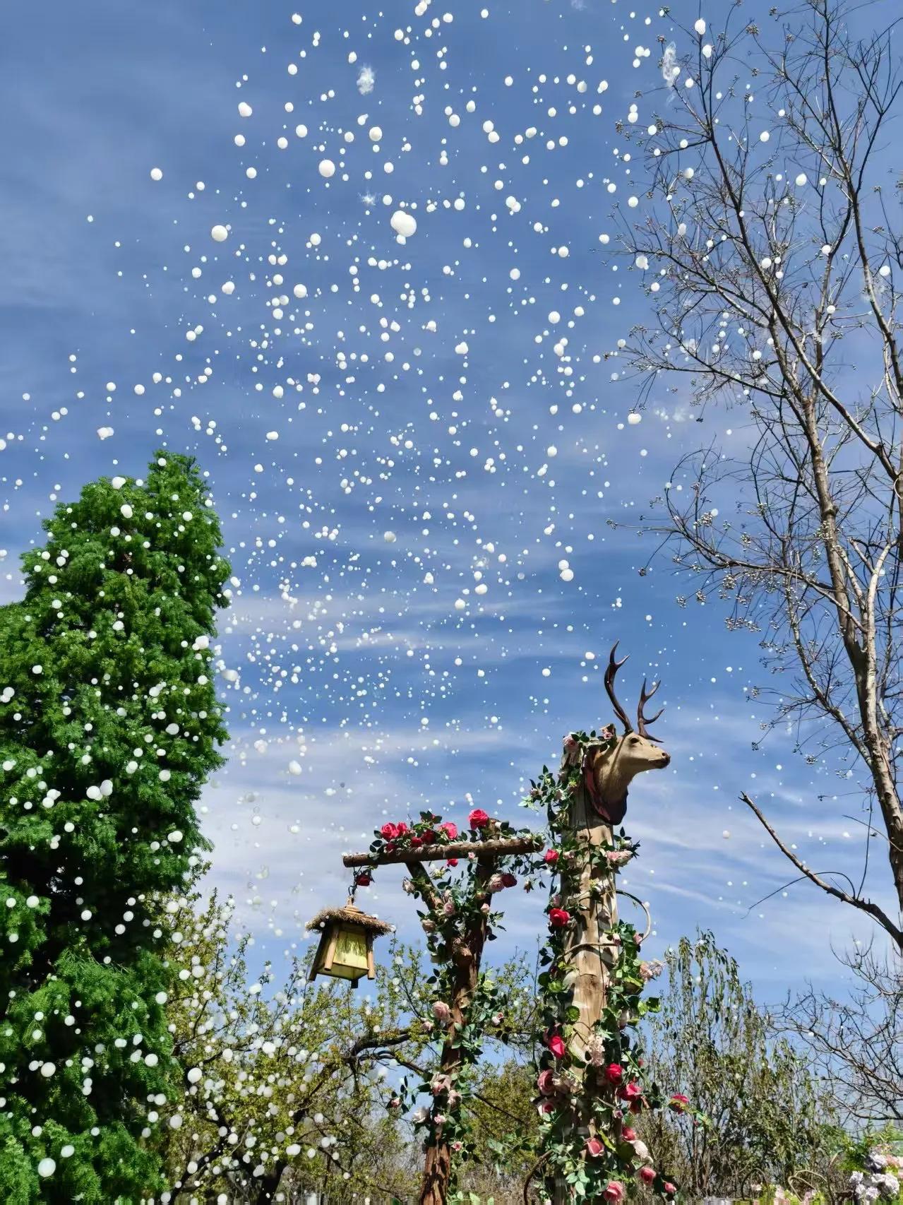 侄女儿的男朋友家只有两套房子，110平，是学区房。另外有一套60平的老破小，是奶