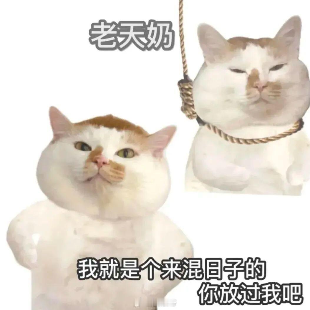 某大厂谐音梗创意遭同行群嘲 一边是自家觉得“妙啊”的谐音，一边是同行“这也行？”