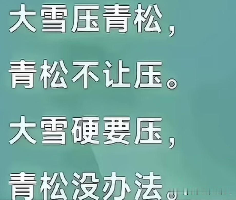有人知道这是谁写的吗？高手