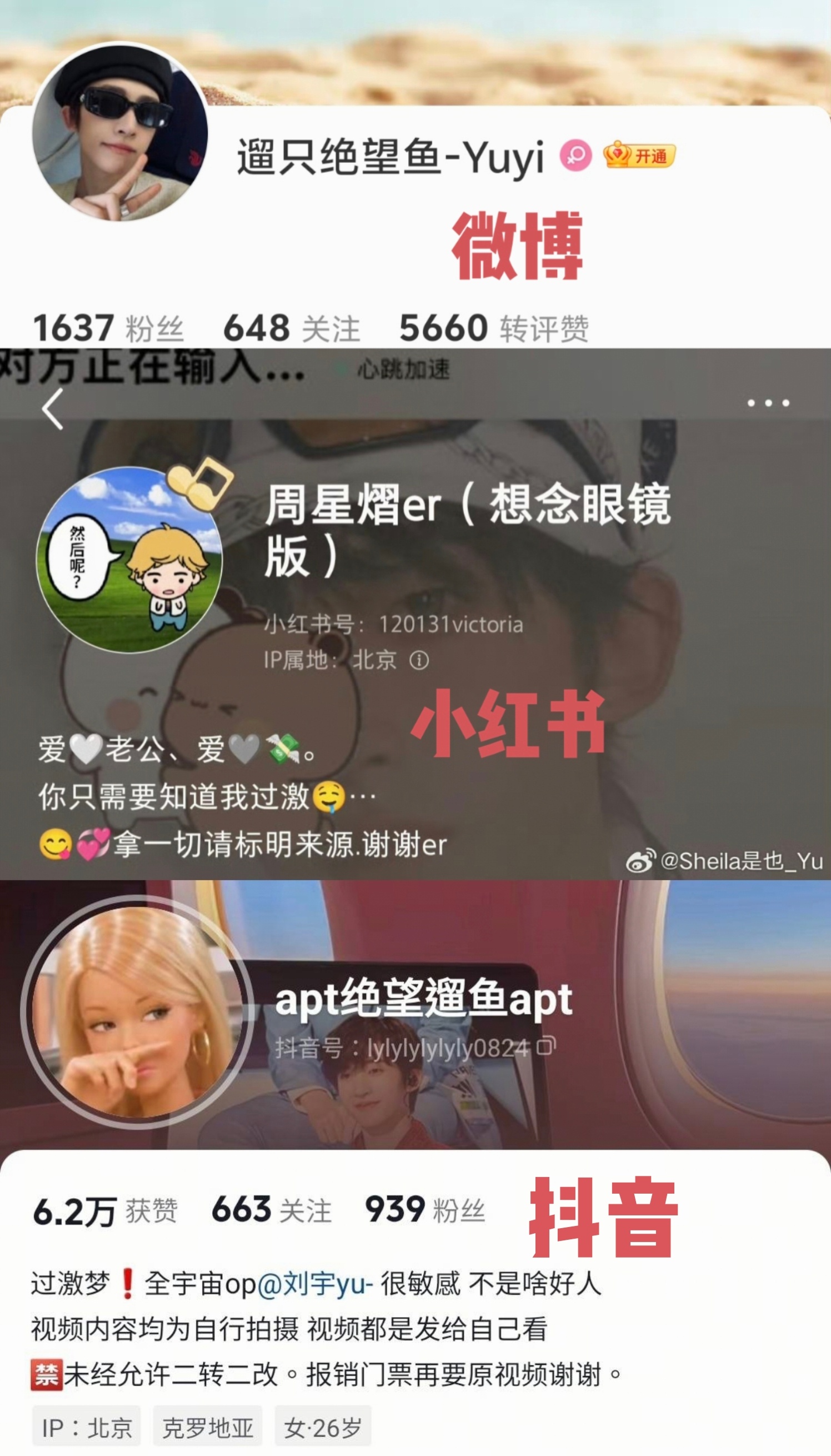 分享一下 ​​​