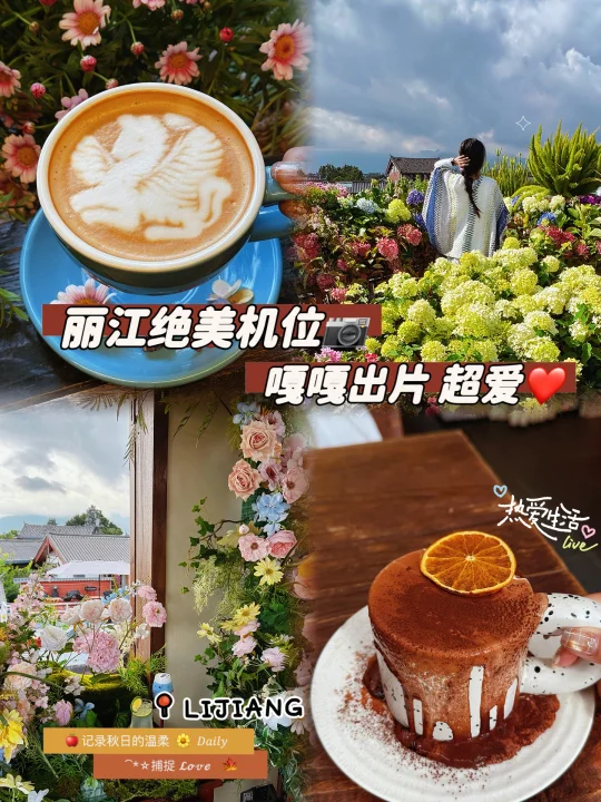 在丽江‼️超超超出片的屋顶花海 我真的来了