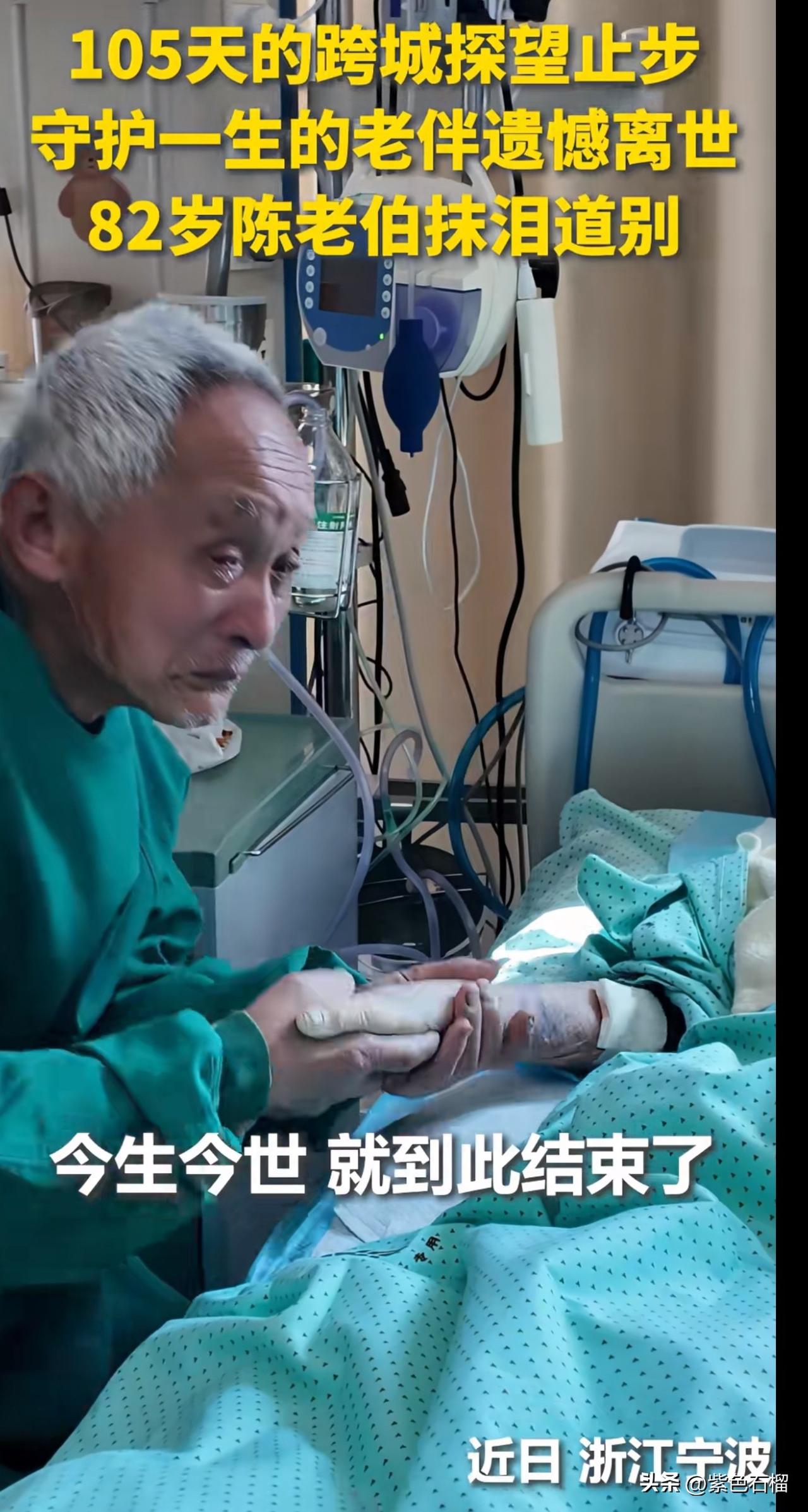 看哭了！老伴离世，那位连续105天每日跨海乘车五六个小时去看望生病老伴的陈老伯，