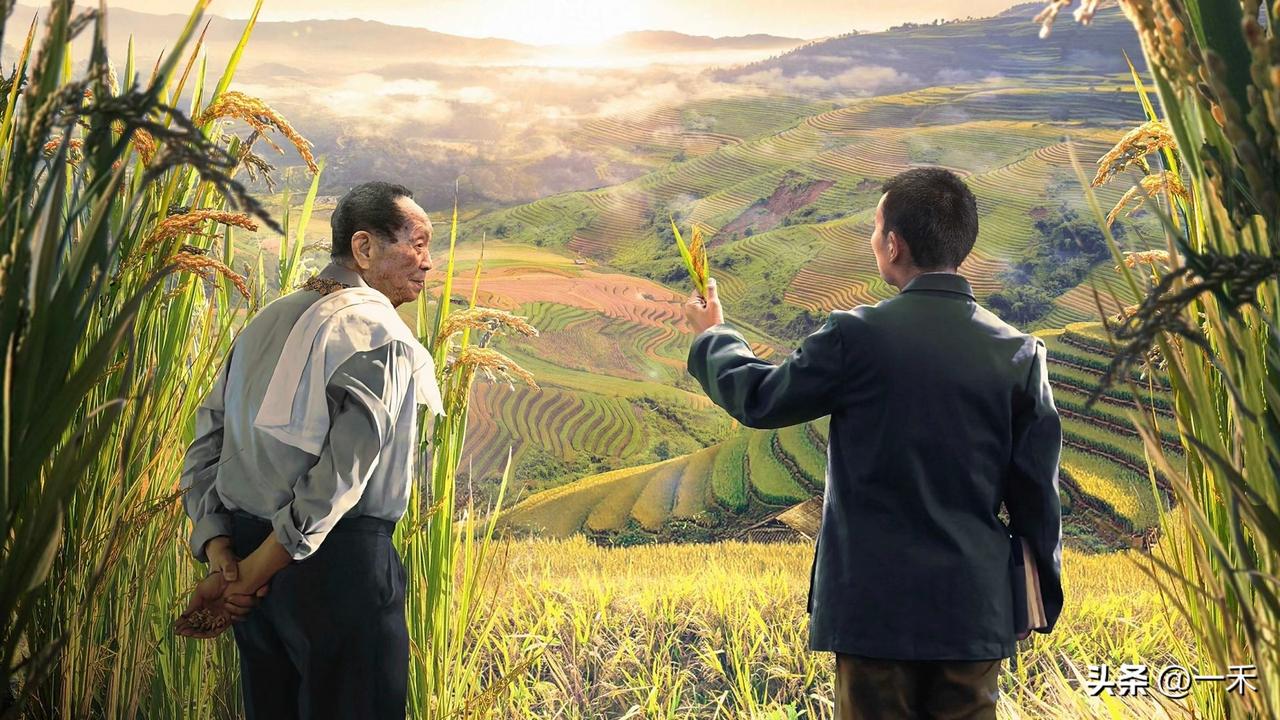 大快人心！200万粉网红诋毁袁隆平院士，全平台账号彻底封禁
 
近日，一则大快人