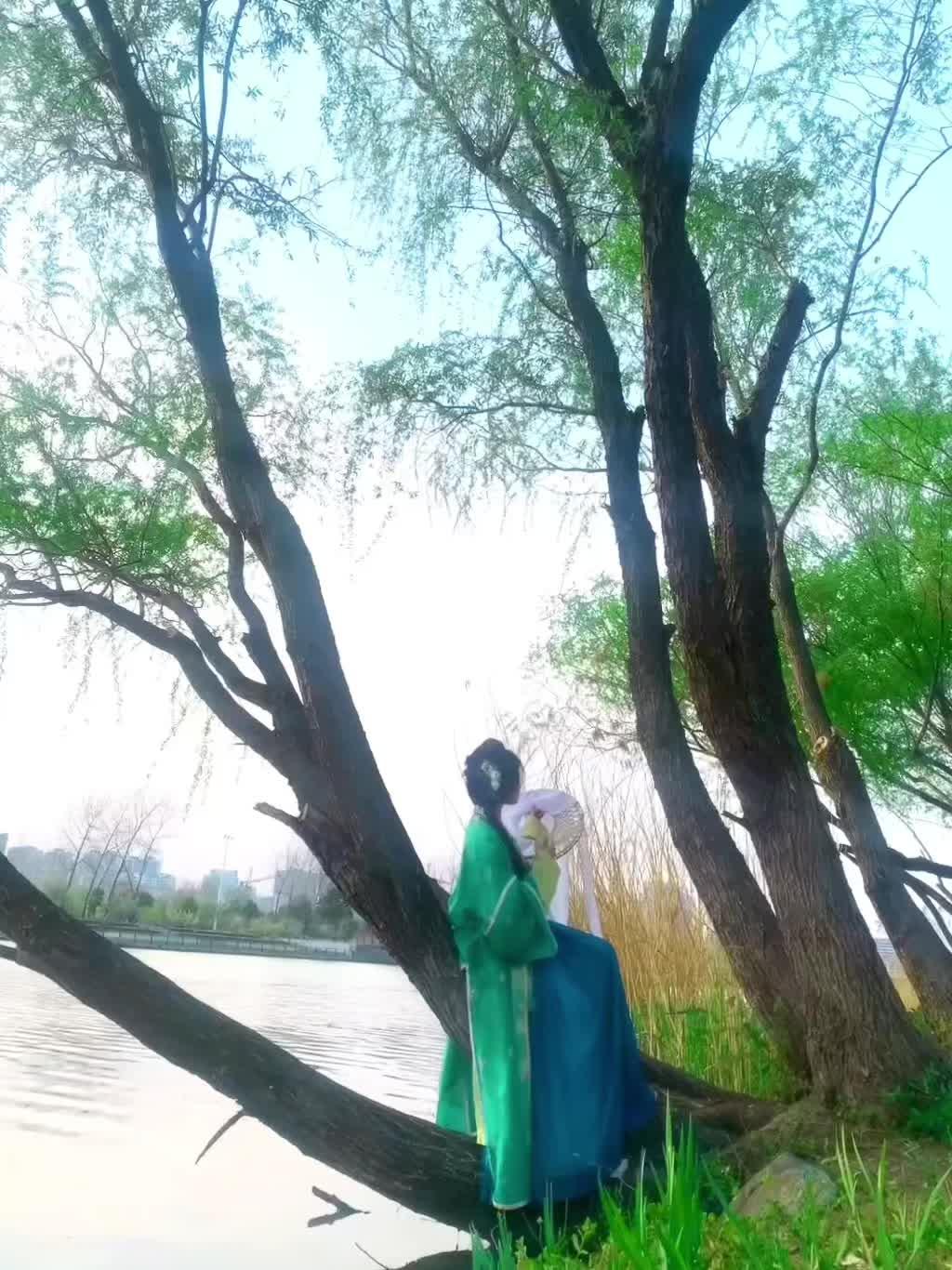 绿色多好看~