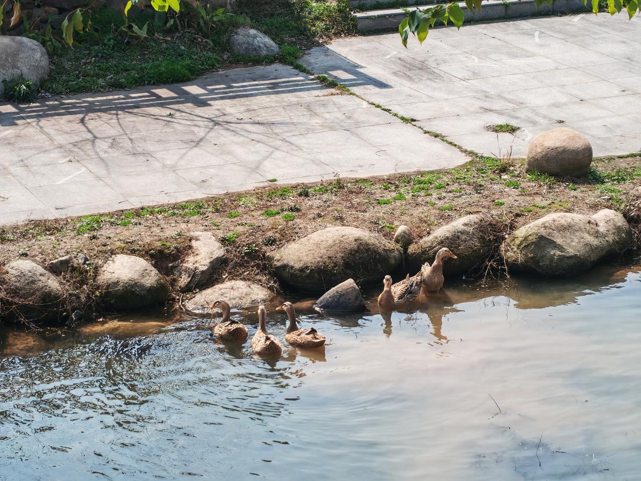 分享你的随手拍
