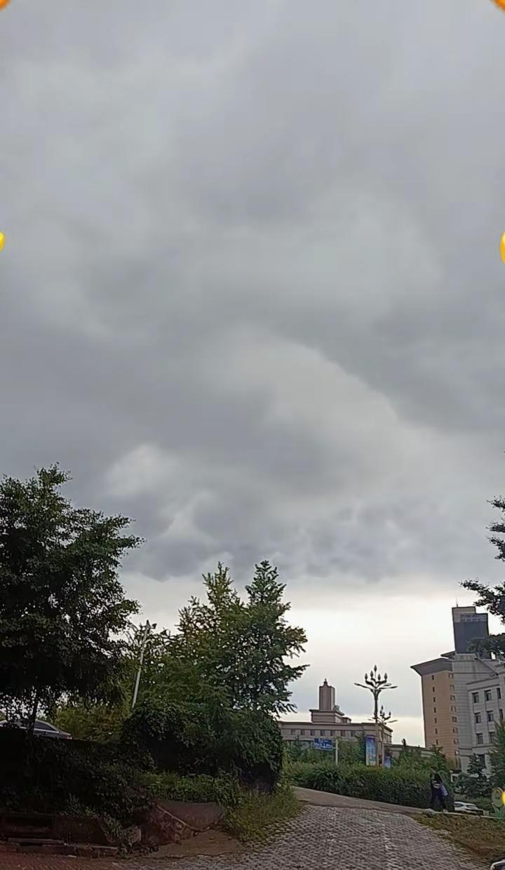 东北这冷真不是吹的，专治各种不服😂。东北的夏天咋还不来呀，一直下雨凉飕飕的，小