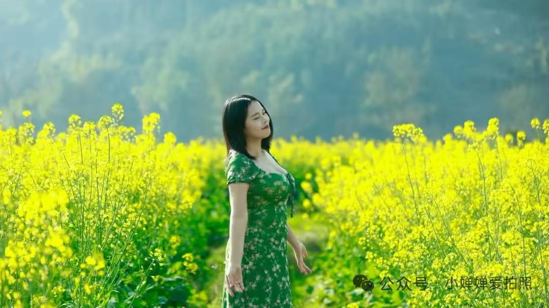 殿前欢·油菜花
菜花黄，
万顷金浪映春阳。
风拂叠翠层层漾，
满目柔肠。
繁花脚