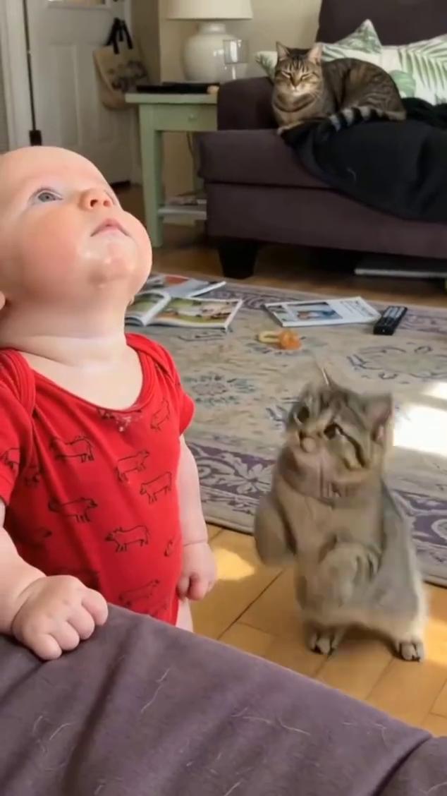 bad kitty，i'm telling mom。