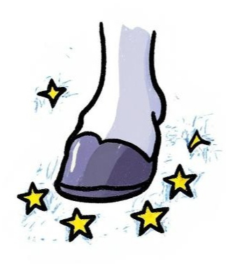 每天一条冷知识 有些人可能会以为马蹄是马的脚，但其实，马蹄是马的脚趾端的坚硬角质